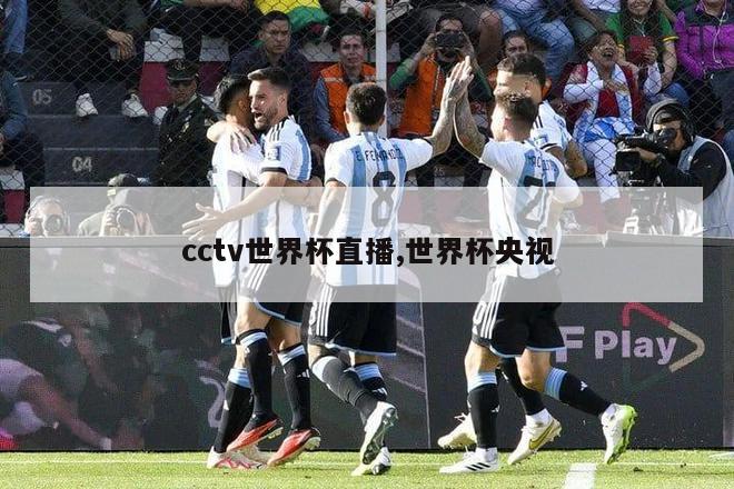 cctv世界杯直播,世界杯央视
