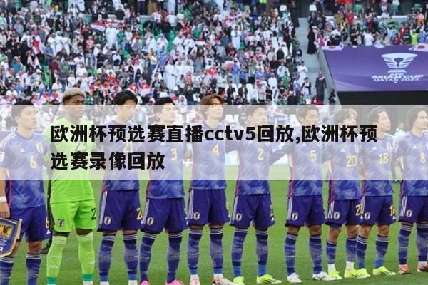 欧洲杯预选赛直播cctv5回放,欧洲杯预选赛录像回放