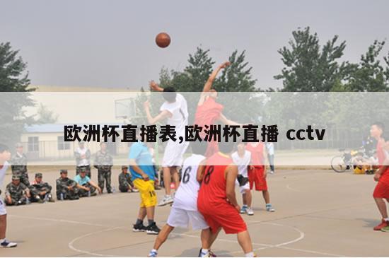 欧洲杯直播表,欧洲杯直播 cctv