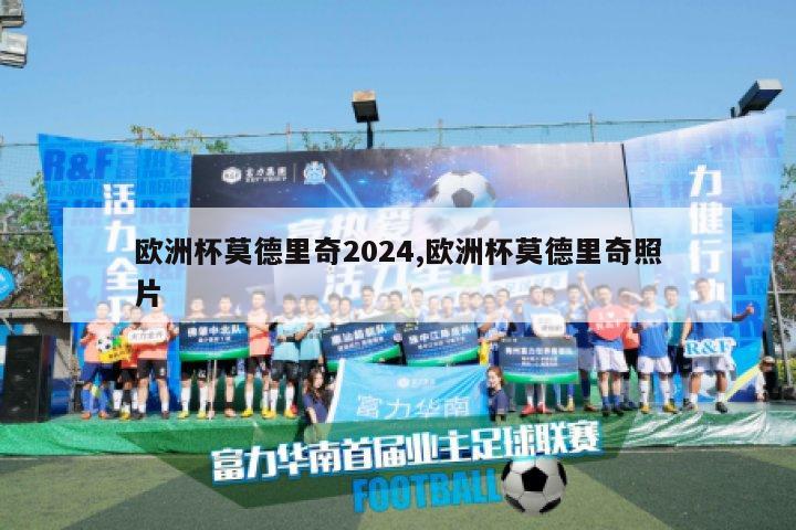 欧洲杯莫德里奇2024,欧洲杯莫德里奇照片