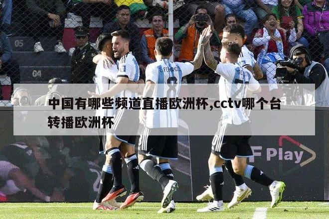 中国有哪些频道直播欧洲杯,cctv哪个台转播欧洲杯